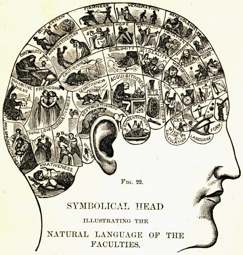 phrenologicalchart