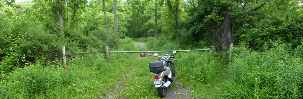 Here endeth the path. At least on the scooter.