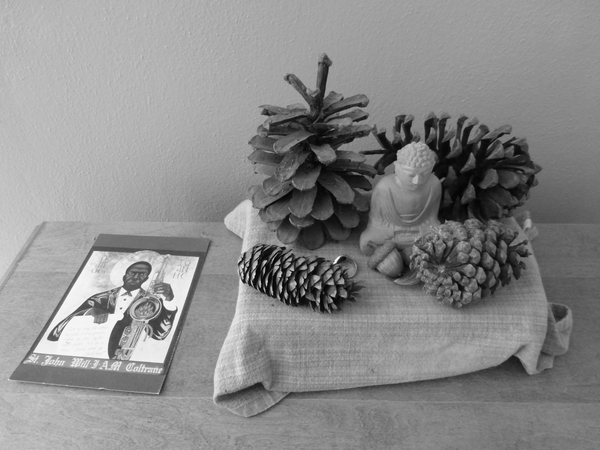 John Coltrane postcard from Josh Ferko; Buddha from the Upper West Side of NYC; acorn from my kids' house in State College; pine cones from PA and AL; my grandfather's high school ring from 1929. 